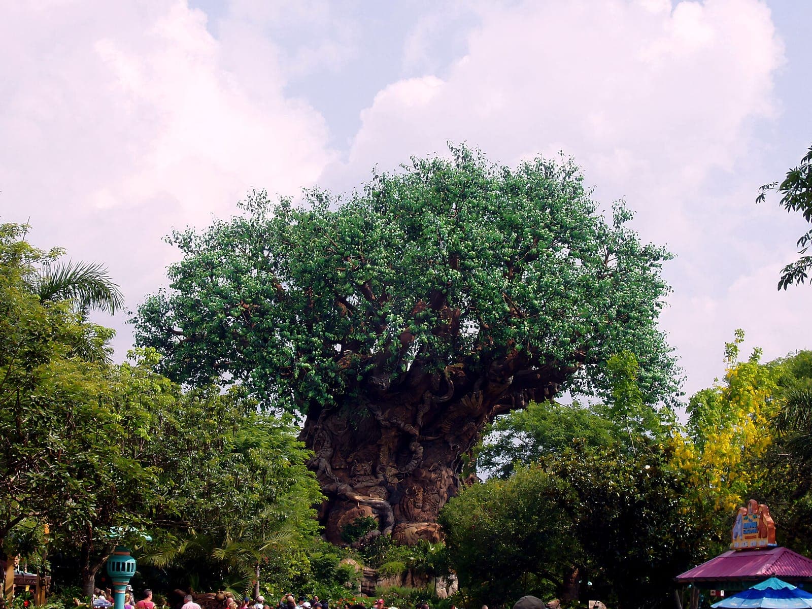 Disney's Animal Kingdom