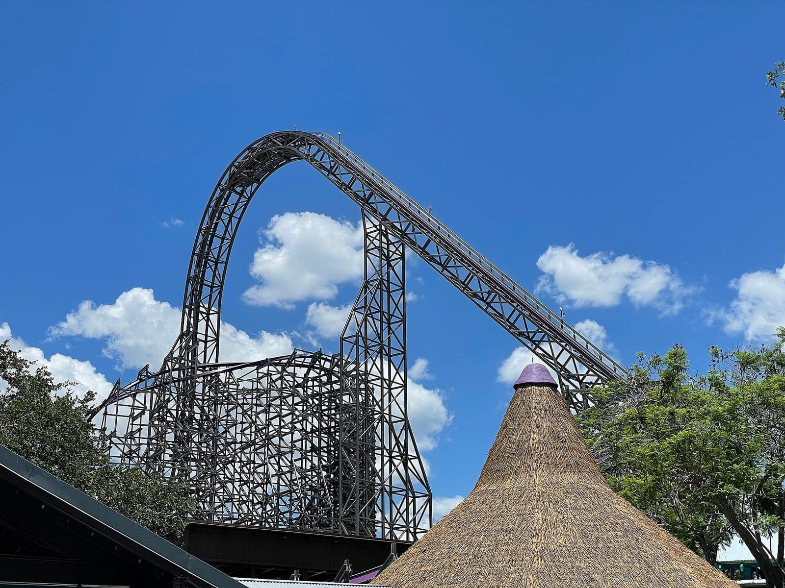 A roller coaster loop at Busch Gardens Tampa Bay