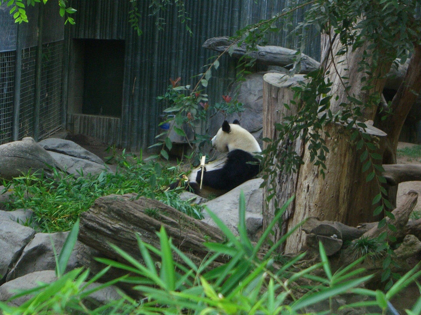 San Diego Zoo